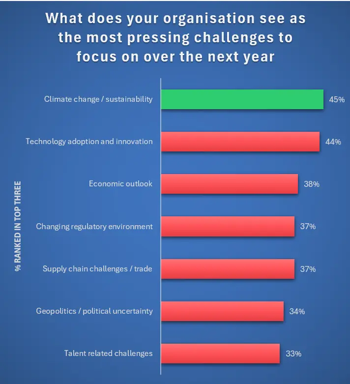 Most pressing challenges for organisations over the next year, % ranked in top three